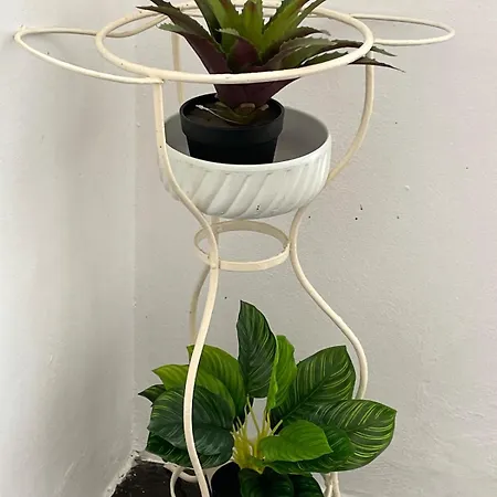 דירה Ragozza In Pieve Vergonte